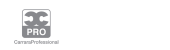 Carrara Professional Logo 2